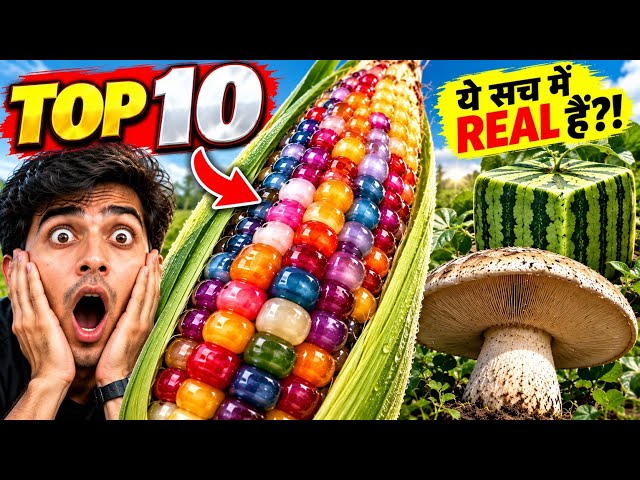 TOP 10 ऐसे फल-सब्ज़ियाँ जो यकीन करना मुश्किल है! 😱 #amazingfruits #strangefruits #top10
