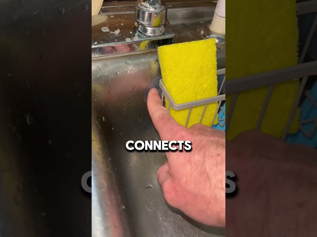 Double Sponge holder! 😍