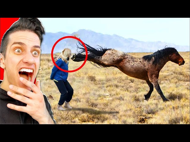 IMPOSSIBLE YOU LAUGH DELETE YOUTUBE FOREVER Challenge! **FUNNY FAILS**