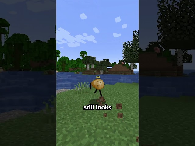 Immersive Portal Mod Feature