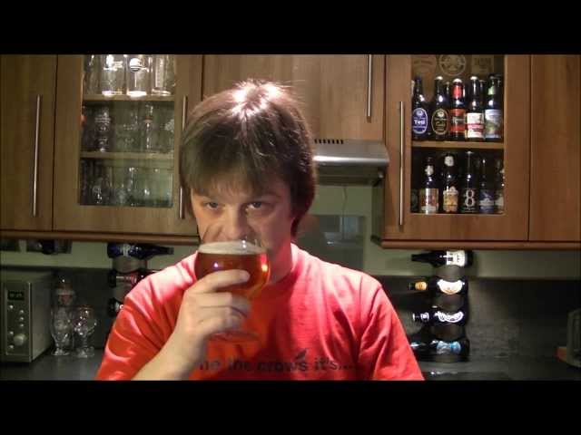 Lagunitas Sucks IPA