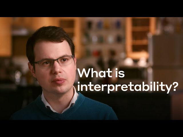 What is interpretability?