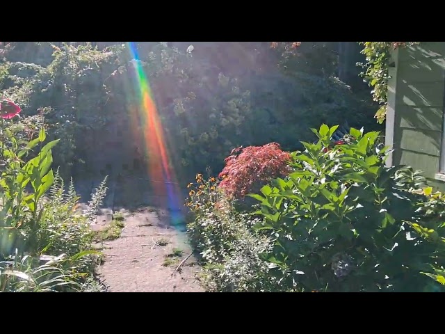The Astrology of September 7, 2026: Heal with confidence...
