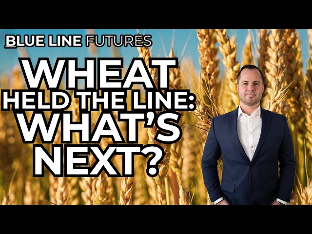 Wheat Holds Support, Feeders Turn Constructive, Hogs Wake Up: Where to Look Next | Oliver Sloup 10/2
