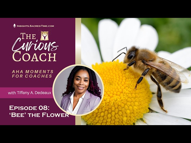 Episode 08 🐝  Bee the Flower 🤔 The Curious Coach ☀️  A SACRED TIME PODCAST
