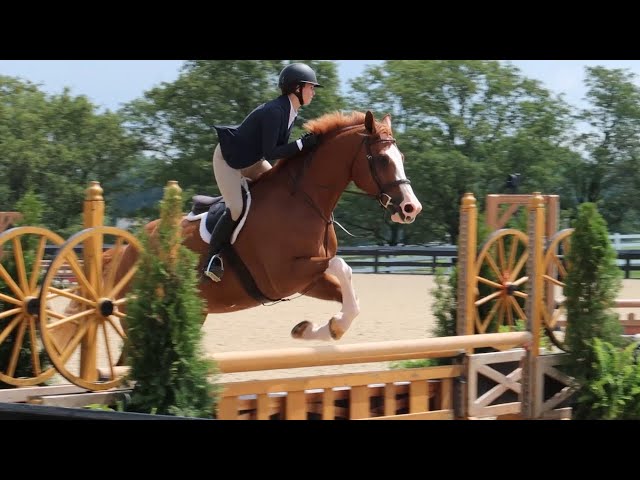 Showing at WEC Ohio!