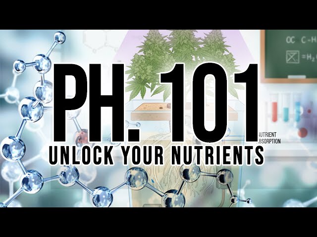 Unlock Your Nutrients PH 101 Understanding Hydroponic Nutrient Lockout And PH Maintenance