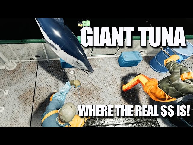 Fishing: North Atlantic - How to Make BIG BUCKS with Tuna