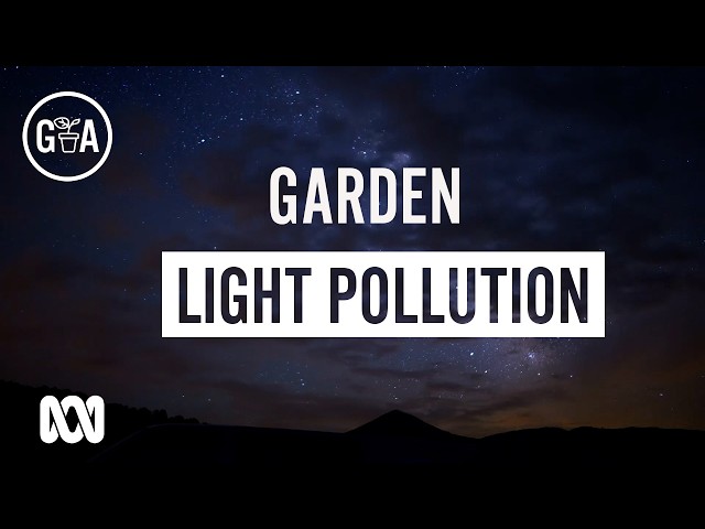 Garden Lighting & Light Pollution | Garden Design | Gardening Australia