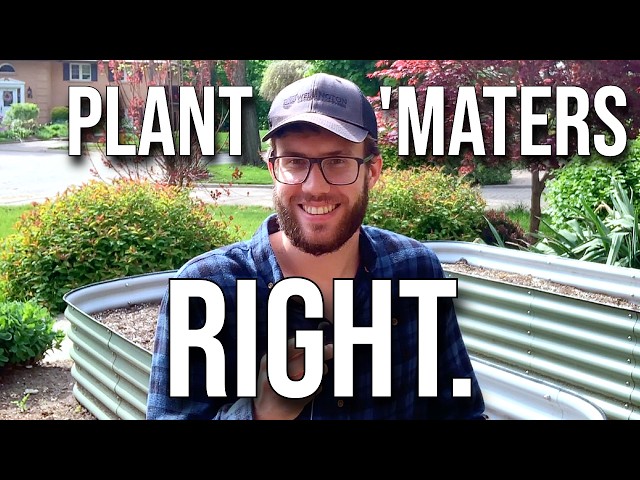 Tomato Planting Tips Too Many Gardeners Ignore...