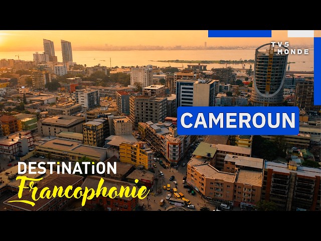 CAMEROON: A Journey to the Heart of Africa in Miniature | Destination Francophonie