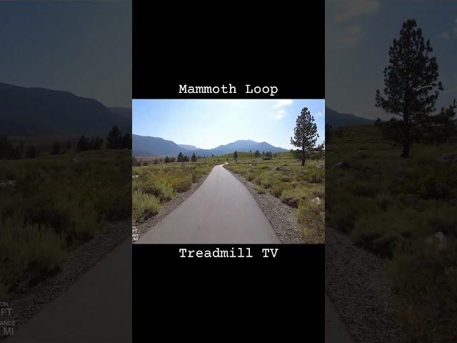 Mammoth Lakes Town Loop
