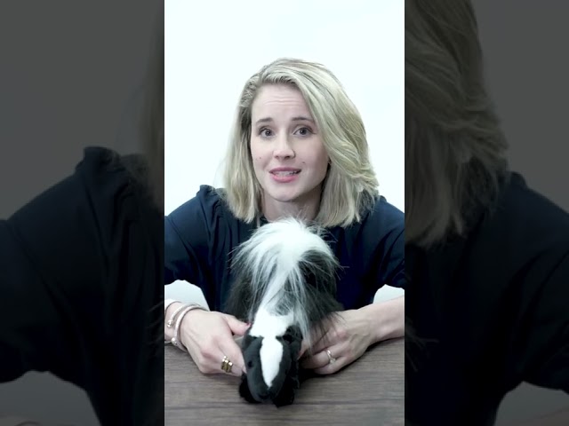 What is Skunk on the Table?