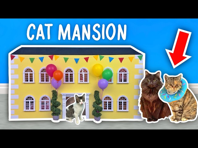 I Built A MANSION For My CAT!