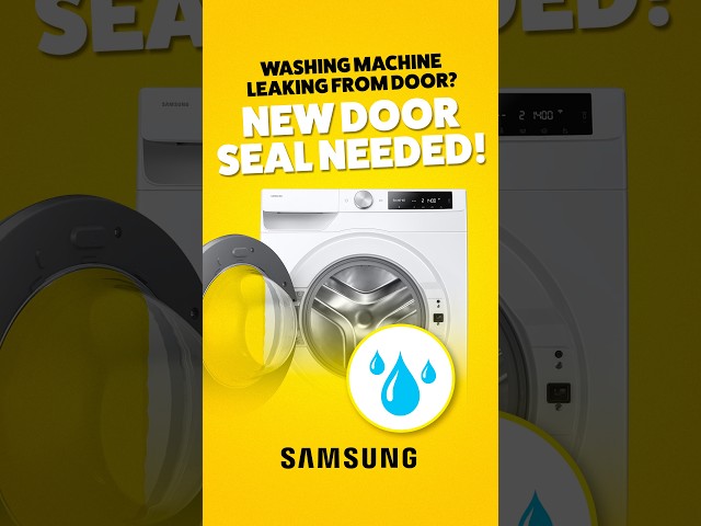 How to Replace a Samsung Washing Machine Door Seal