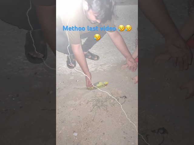 Last video methoo ki #ytshorts #shortsvideo #youtubeshorts #shortsfeed #short #shorts