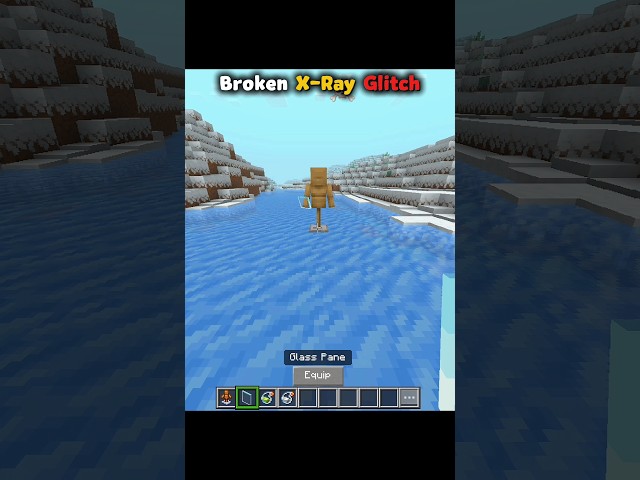 Minecraft Bedrock X-ray Moment