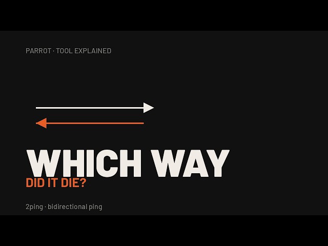 2ping which direction killed the packets