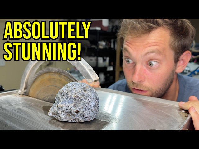 Strange Grey Rock was Hiding a JAW-DROPPING SURPRISE!