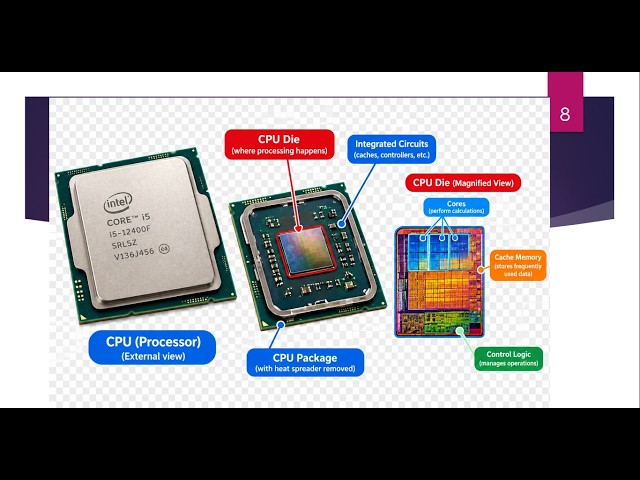 Computer Hardware and Software Explained  Components, Examples  How They Work Together