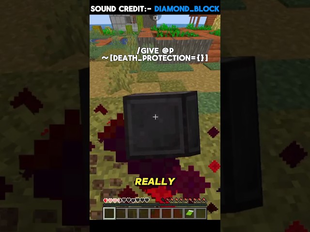 Fun Minecraft Commands?!⛏️💎
