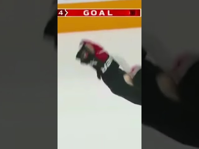 Connor Bedard overtime Goal vs Slovakia