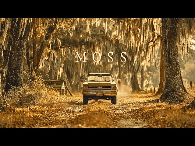 You won't forgive yourself if you miss this movie 🎬 Full Film in English