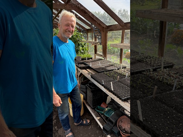 Last Sowings for Outdoor Vegetables and Herbs