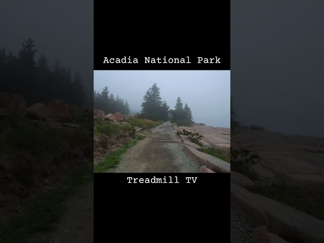 Peace of Acadia #travel #nature#treadmill