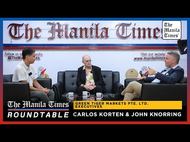 Green Tiger executives on Times roundtable