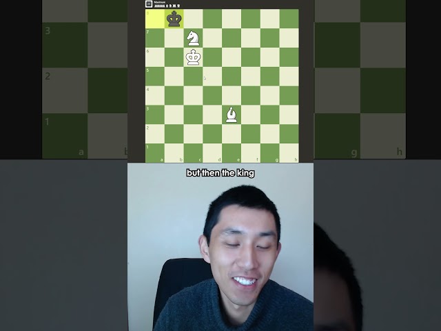 would you rather? 🤔 #rubikscube #chess