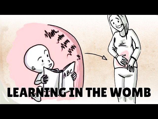 Prenatal Development: What Babies Learn in the Womb
