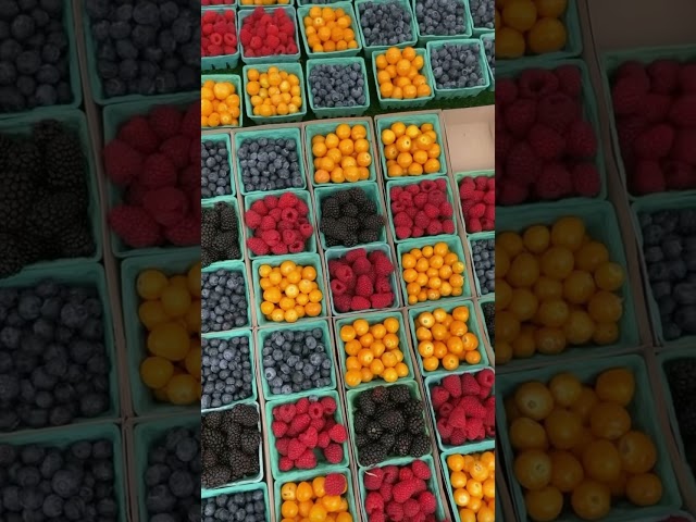 Sunday Farmers Market #youtubepartner