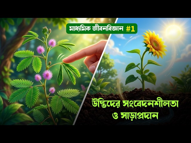 'উদ্ভিদের সংবেদনশীলতা ও সাড়াপ্রদান' চলন জীবন বিজ্ঞান 🤩 | Madhyamik Class 10 Life Science