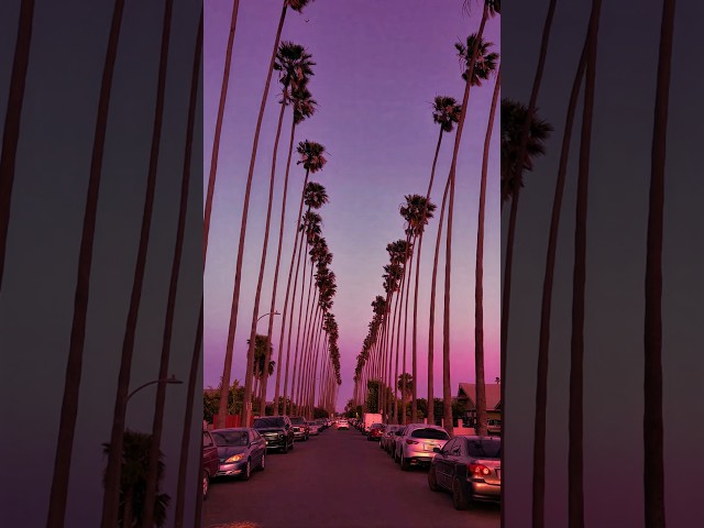 the colors of the sky when sunset refuses to say goodbye 🌅 🎶Nick Raff - Patience 🎥 photobyfarad
