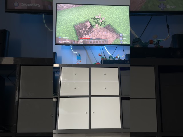 Minecraft but you can’t Touch the Color Green