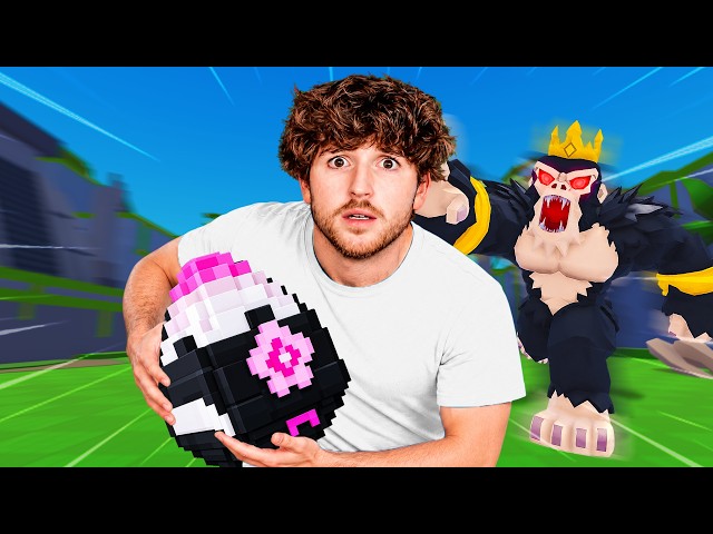 I Became The #1 Player In steal An Egg!