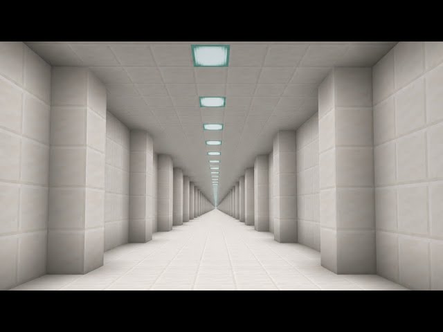 Longest Hallway I Ever Saw In Minecraft 