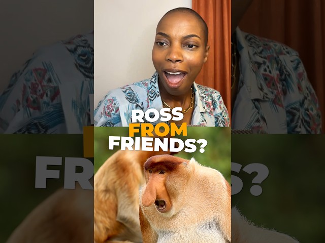Sasheer Zamata gets Pepé Le Pew vibes from this animal. #animals #monkey  #wildlife #naturepbs
