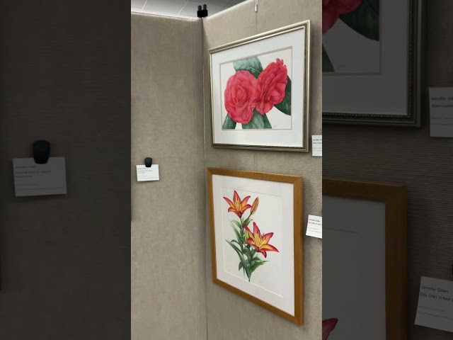 Floral Watercolor Paintings at Harrington Library | #art #painting #exhibition