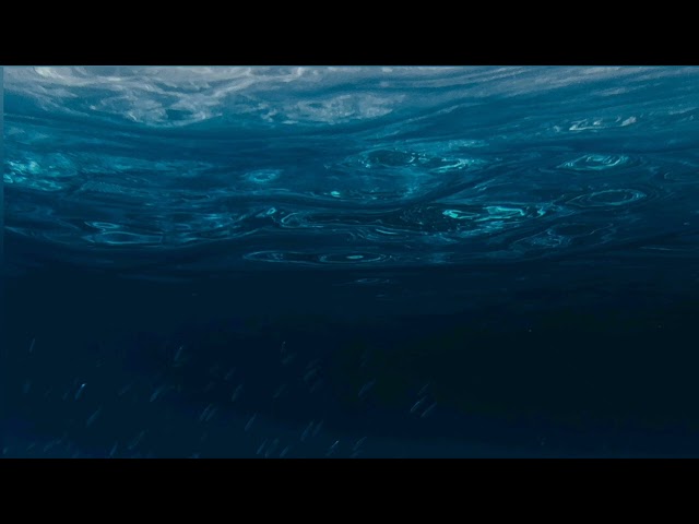 Harberg: Hall of Ghosts