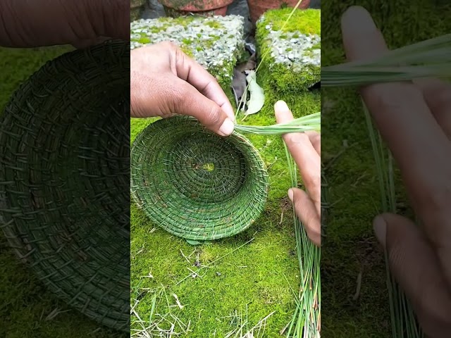 Authentic skill pine needles making @Pineconya