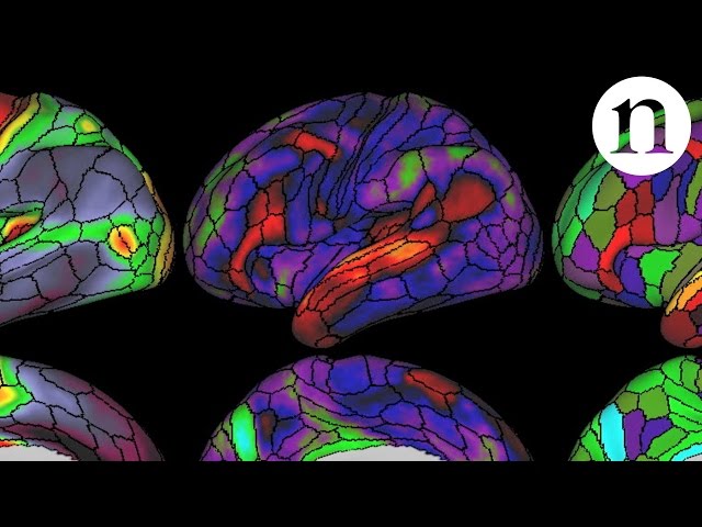 The ultimate brain map