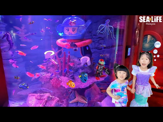 Kasih Kejutan Main Ke Aquarium Sealife Legoland, Ketemu Dory dan Nemo