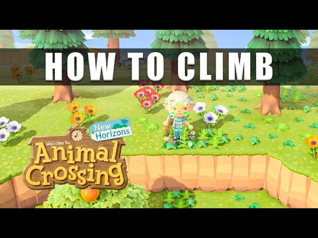 Animal Crossing New Horizons how to climb up the high cliff - How to get the ladder