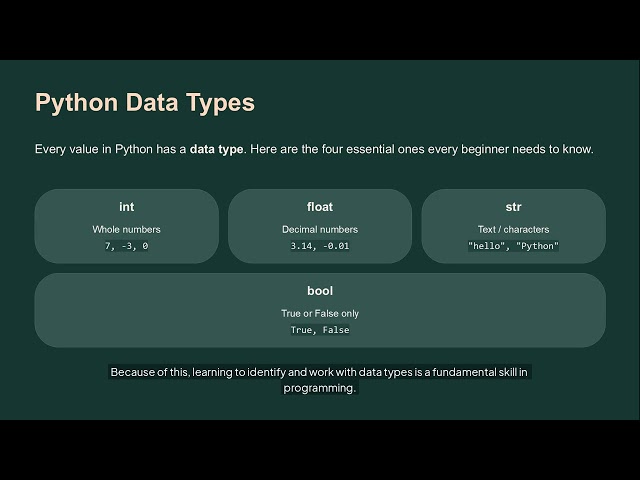 Python Data Types: The Foundation of Every Value