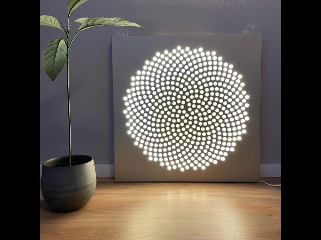 Spiral Phyllotaxis Project - results so far (2019 - 2022)