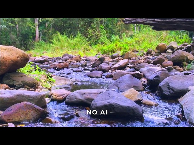 Gentle Stream Sounds | Relaxing Stream Sounds use for Relaxation, Sleep, insomnia
