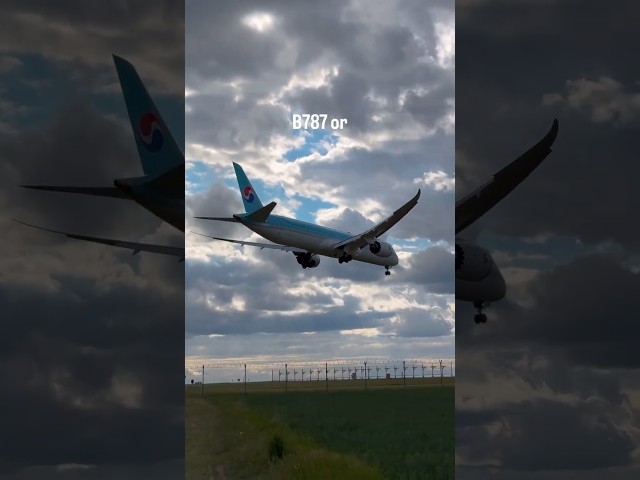 B787 or A350? ☠️ #shorts #aviation #airplane #boeing #airbus #b787 #a350 #viral #edit #fyp