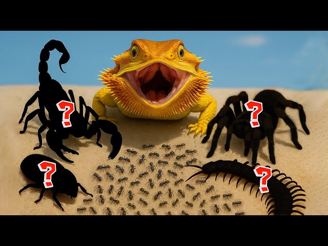 1,000 Black Ants Vs 1,000 Red Ants and 5 Deadly Predators | AntTrek's Simulation